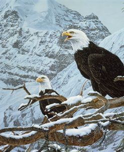Eagles In The Pine
