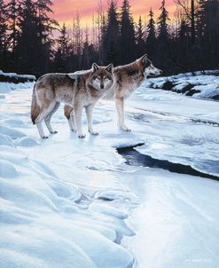 Wolves At Sunset