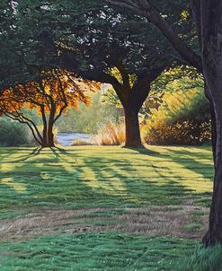 Beacon Hill Morning