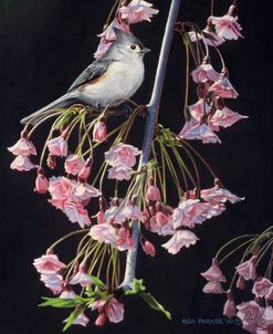 Titmouse And Blossoms