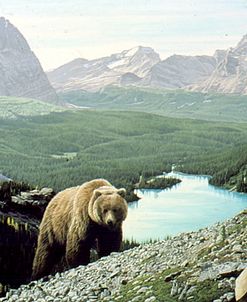 Lake O’Hara