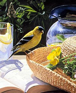 Goldfinch On Straw Hat