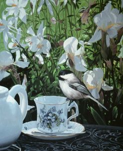 Chickadee And Teacup