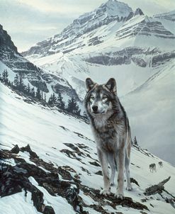 Winter Crossing – Wolf
