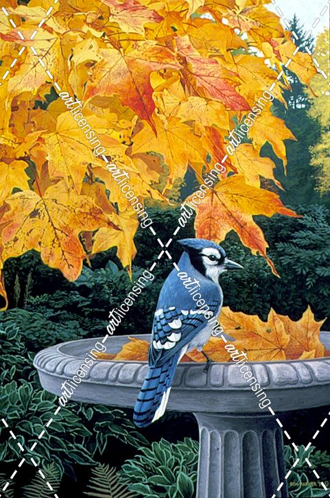 Autumn Birdbath
