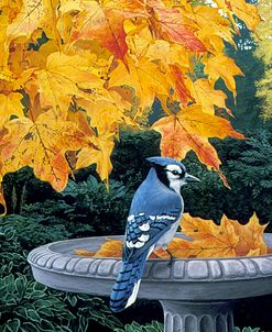 Autumn Birdbath