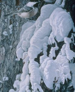 Chickadees In Snow