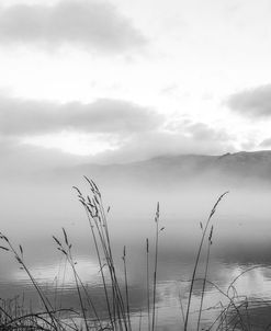 Lake Mist