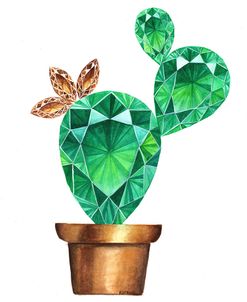 Prickly Pear