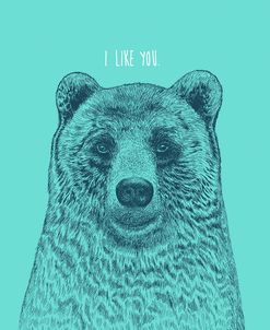 I Like You Bear