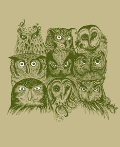 Nine Owls