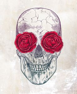 Skull Roses