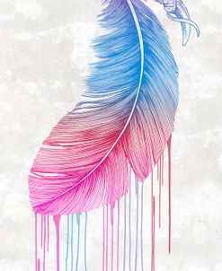 Rainbow Feather