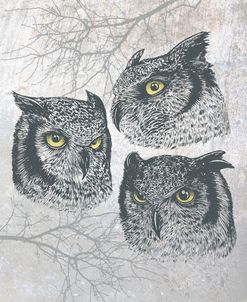 Three Owls