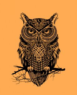 Warrior Owl On Orange