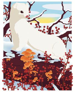 Long-Tailed Weasel and Winterberry
