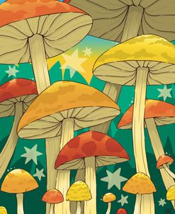 Magic Mushroom Guild