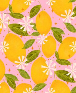Lemons to Lemonade Pattern