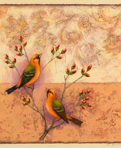Two Orange Birds