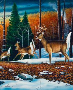 Lost Buckhorn