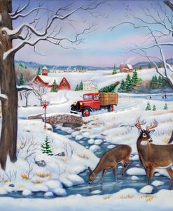 Stoneybrook Christmas