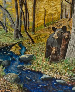2 Bears Autumn Stroll