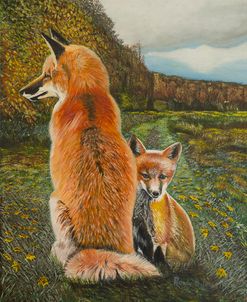 Red Fox and Kit