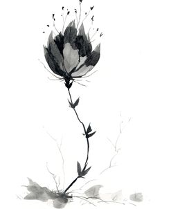 Embodiment