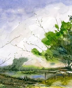 Taylors Pond
