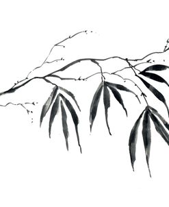 Tropical Branch