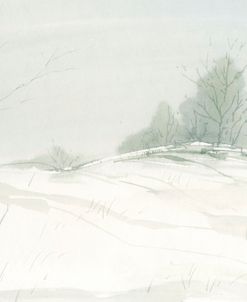 Snow Bed