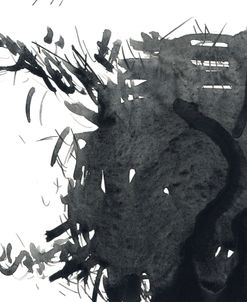 Chaos