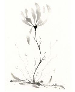 Grow On