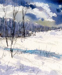Back Trail