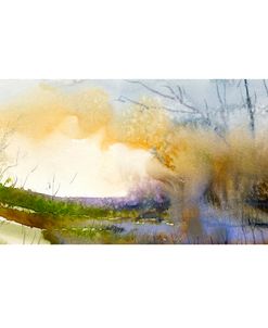Morning Fog