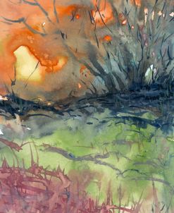 Spring Sun
