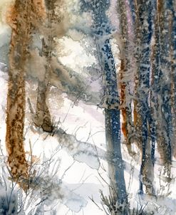 Forest Snow