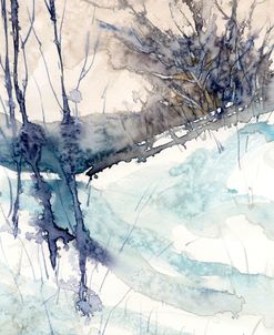 Winter Trail