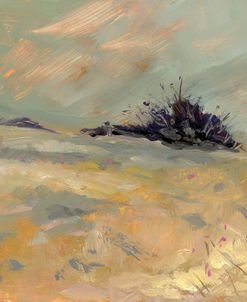 Flower Valley