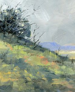 Purple Mountains 2