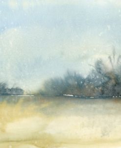 Sunny Fog