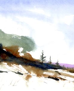 Sequential Snow