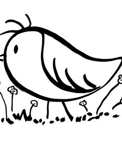 Birds Arrive