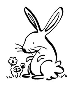Spring Rabbit