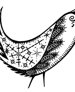 Feathers