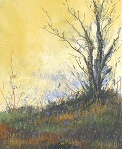 Spring Hill