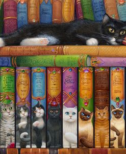 Cat Bookshelf