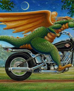 Dragonrider