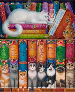 Cat Bookshelf 3