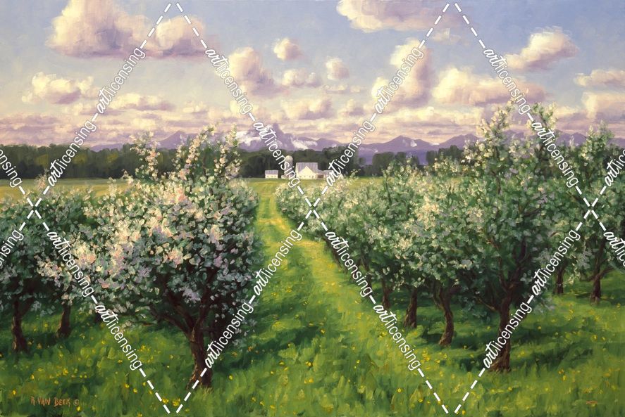 Stoney Ridge Orchard